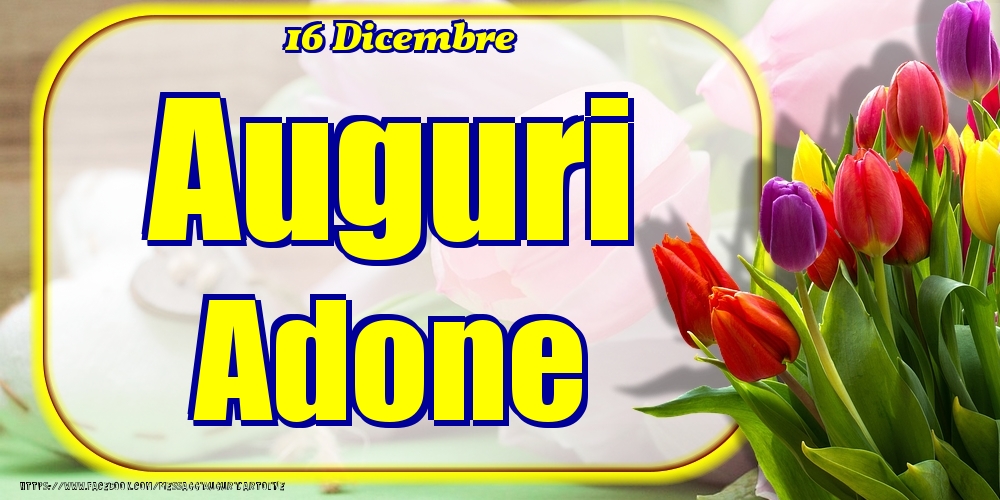 16 Dicembre - Auguri Adone! - Cartoline onomastico