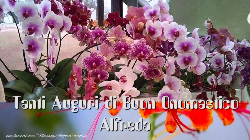 Tanti Auguri di Buon Onomastico Alfreda - Cartoline onomastico con fiori