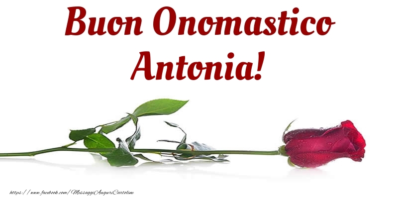 Buon Onomastico Antonia! - Cartoline onomastico con rose