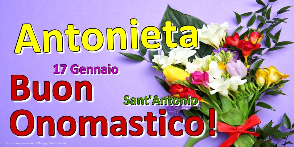 17 Gennaio - Sant'Antonio -  Buon Onomastico Antonieta! - Cartoline onomastico