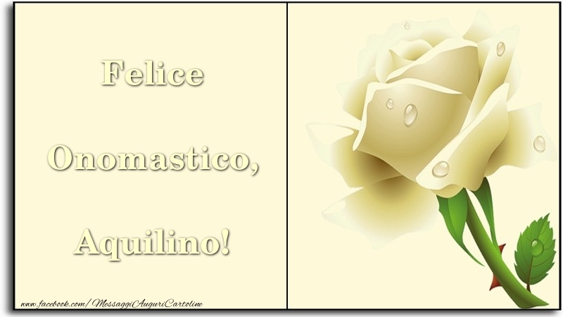 Felice Onomastico, Aquilino - Cartoline onomastico con rose