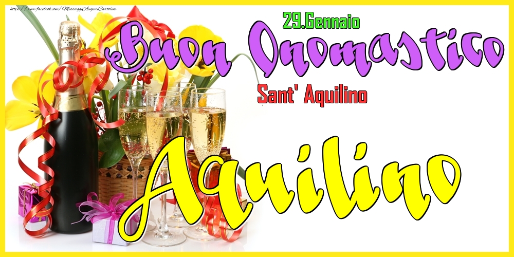 29.Gennaio - Buon Onomastico Aquilino! - Cartoline onomastico