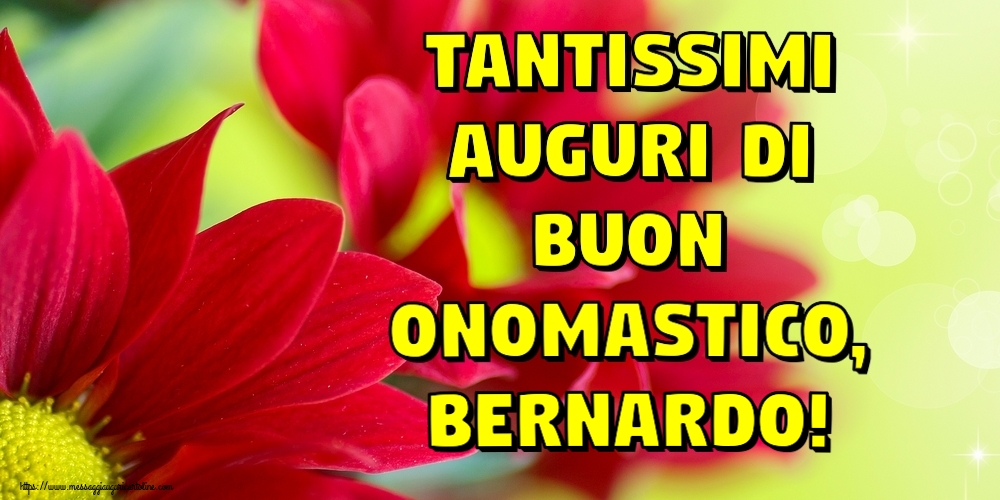 Tantissimi auguri di Buon Onomastico, Bernardo! - Cartoline onomastico