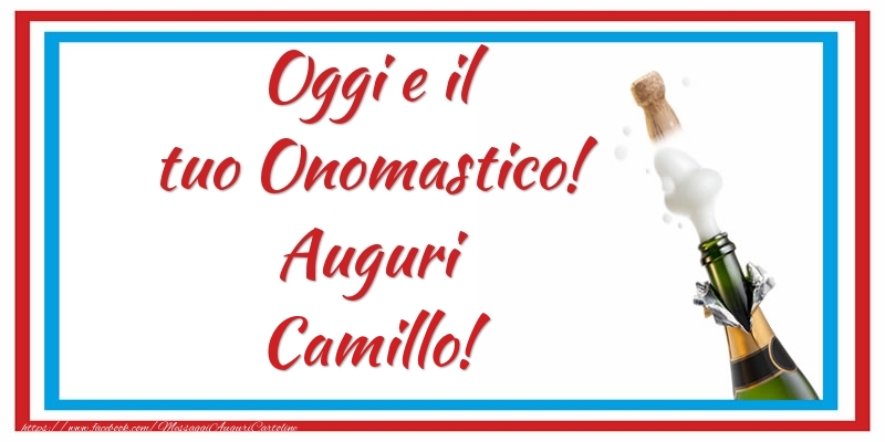 Oggi e il tuo Onomastico! Auguri Camillo! - Cartoline onomastico con champagne