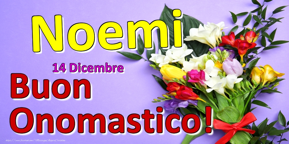 14 Dicembre -  -  Buon Onomastico Noemi! - Cartoline onomastico