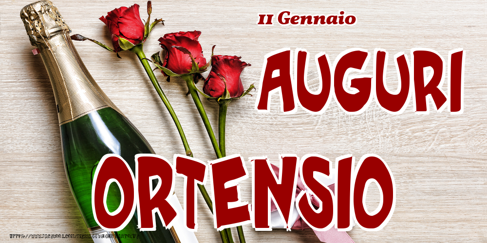 11 Gennaio - Auguri Ortensio! - Cartoline onomastico