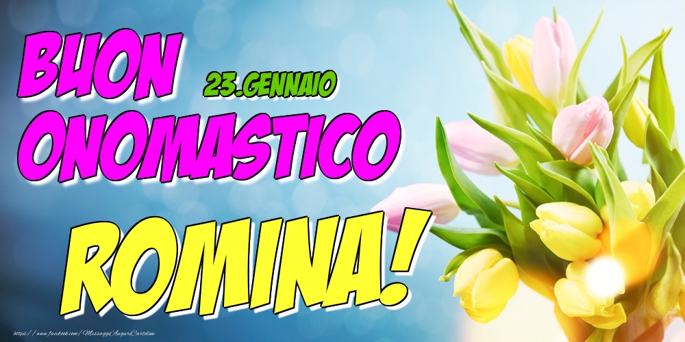 23.Gennaio - Buon Onomastico Romina! - Cartoline onomastico