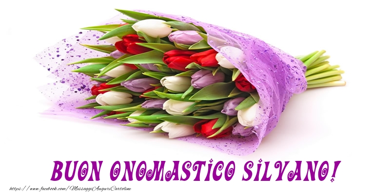 Buon Onomastico Silvano! - Cartoline onomastico con mazzo di fiori